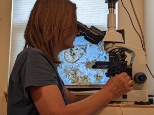 Christine assessing a soil sample through the microscope