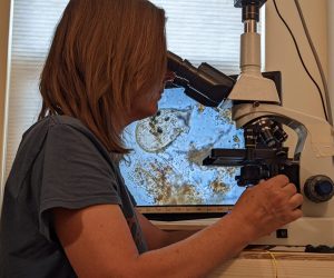 Christine assessing a soil sample through the microscope